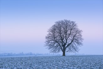 Cold winter morning