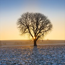 Sunrise in winter