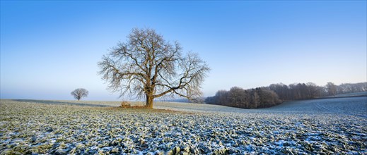 Cultural landscape in winter