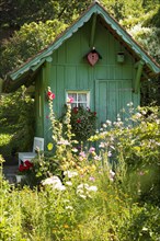 Garden shed and summer flower garden