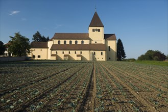 St. George and vegetable fields