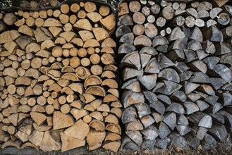 Stacked firewood