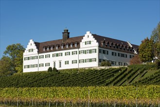 Hersberg Castle with vineyard