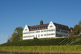 Hersberg Castle with vineyard