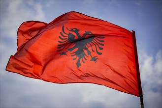 Waving Albanian flag with double eagle in front of blue sky