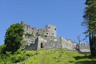 Ehrenberg Castle ruins