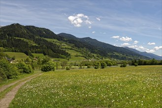 Trail in Paltental