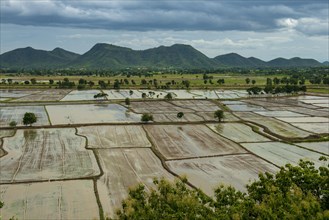 Rice fields from the temple complex