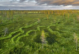 Drone view