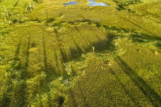 Drone view