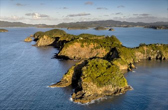 Aerial view of an island in the Bay of Islands