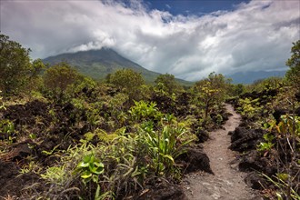 Hiking trail through lava field