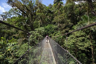 Female hiker on a suspension bridge in the tropical rainforest