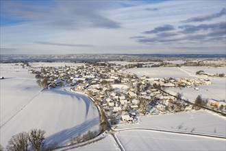 Winter landscape