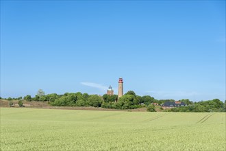 Grain field in front of Schinkel Tower and New Lighthouse
