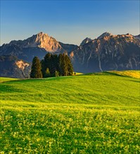 Mountain landscape