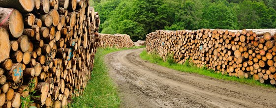 Large wood stacks on forest road