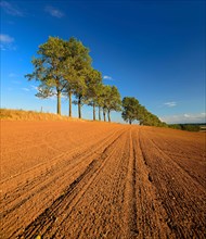 Ploughed and harrowed field