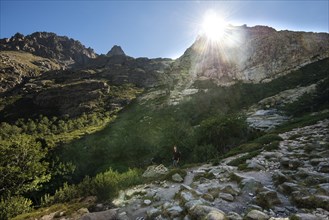 Hiker in Restonica high valley