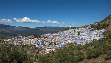 View on blue houses of the medina of Chefchaouen
