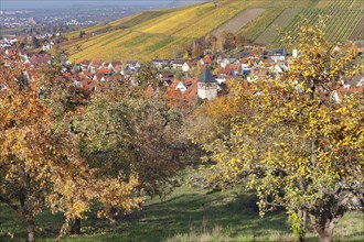 Strumpfelbach in autumn