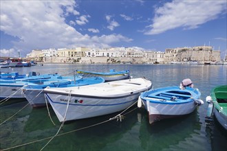 Fishing boats in harbor with View of the historic centre with castle