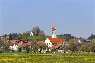 Niederwangen in Wangen