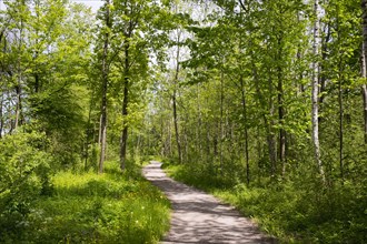 Hiking and bike trail