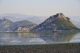 Excursion boat on Lake Skadar