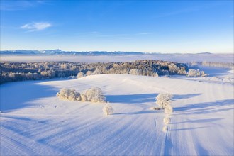 Winter landscape