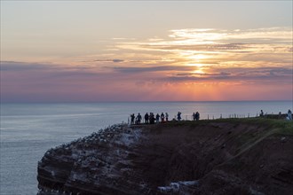 Tourists at Lummenfelsen at sunset