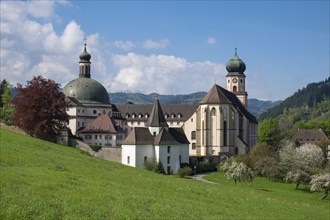 St. Trudpert's Abbey