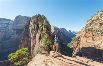 Hiker at Viewpoint