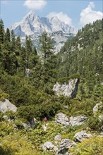 Hiking trail to Karlingerhaus