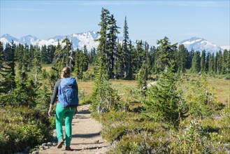 Hiker on hiking trail Panorama Ridge