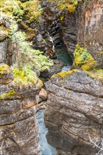 Stream flows in a gorge