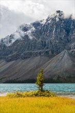 Autumnal colored lake shore