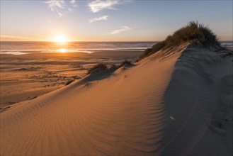 Sunset at the wide sandy beach with sand dunes at the coast