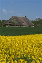 Thatched farmhouse