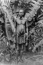 Portrait of an African man in front of banana trees