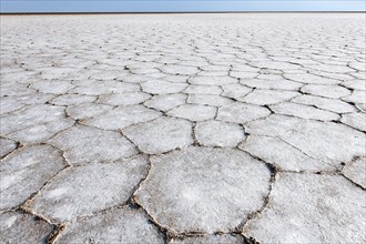 Dried-out surface of the Lake Karum