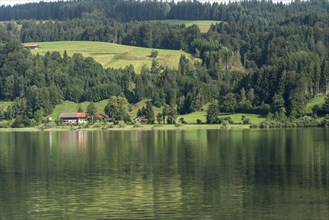 Grosser Alpsee Lake near Buhl