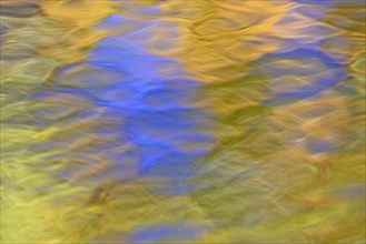 Reflection of treetops with autumn leaves on a wavy water surface