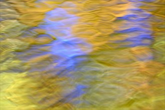 Reflection of treetops with autumn leaves on a wavy water surface