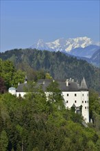 Tratzberg castle