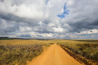 Dusty road leading through the Nyika National Park