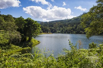 Artifical lake on the Mulunguzi Dam