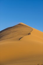 Giant sand Dune 45