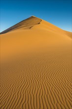 Giant sanddune Dune 45