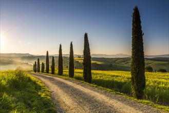 Tuscan landscape